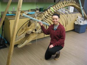 Student kneels proudly in front of partially articulated whale sketon
