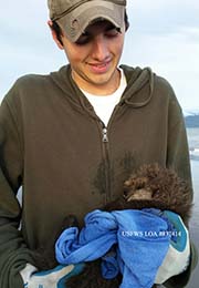 Intern hold sea otter pup bundled in towel.