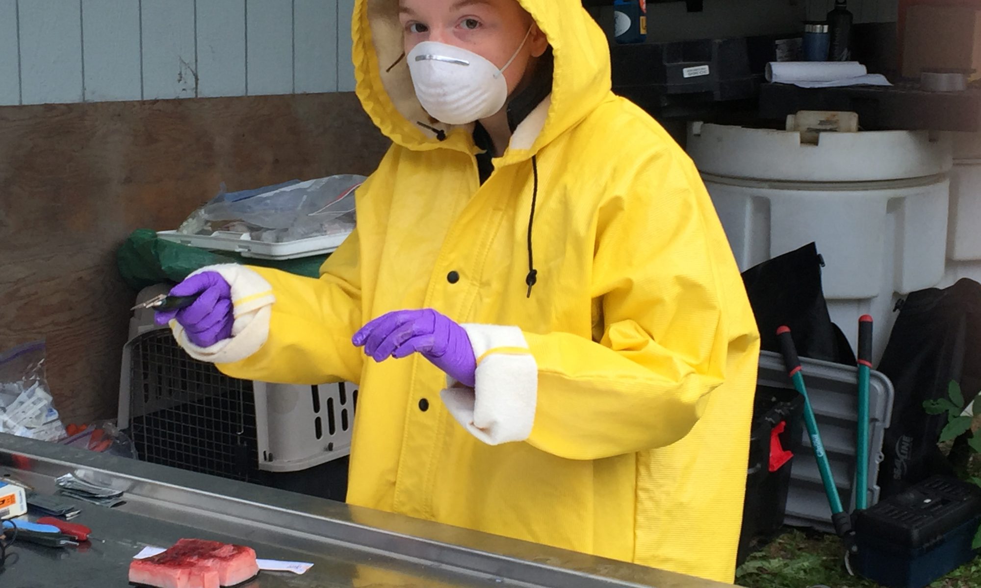 Student with scalpel in full rain-gear