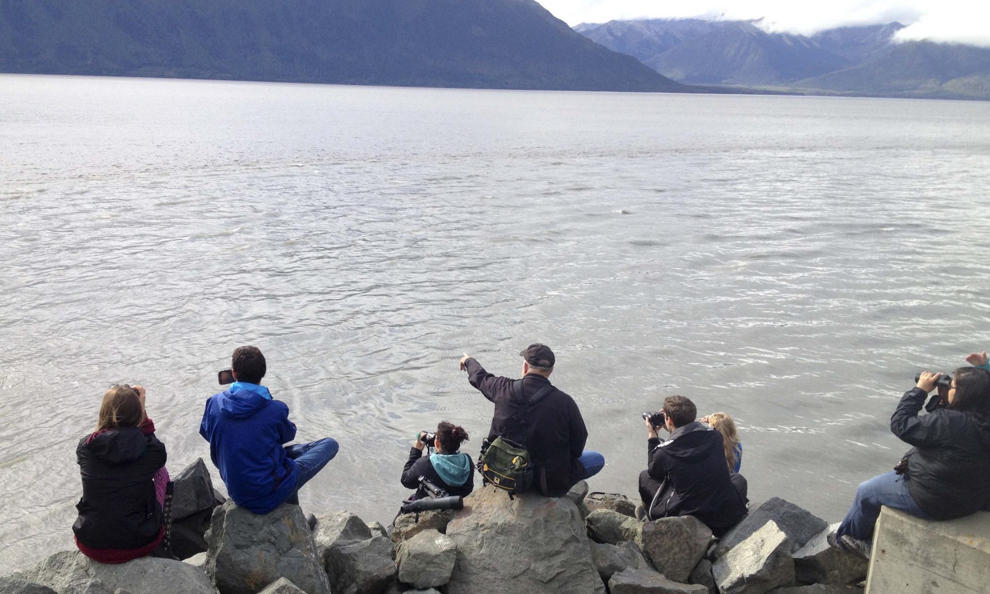 Students perched on rocks looking towards the sea