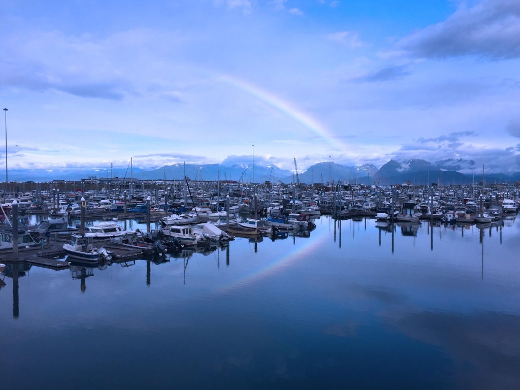 A beautiful morning in the Homer Boat Harbor